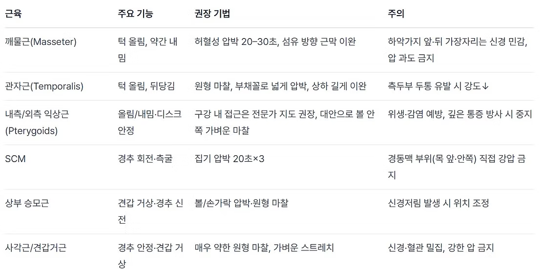 근육·기능·기법 요약 표