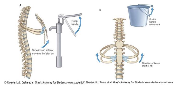 버킷핸들 펌프핸들